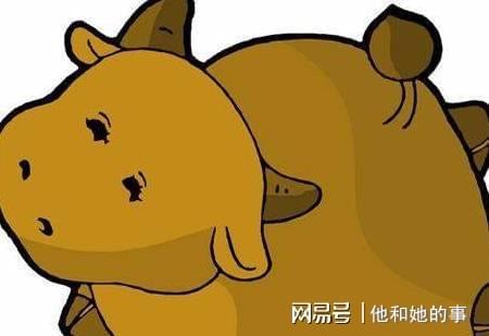 回光返照打一最佳生肖,警惕虚假宣传落实,统计解答解释落实