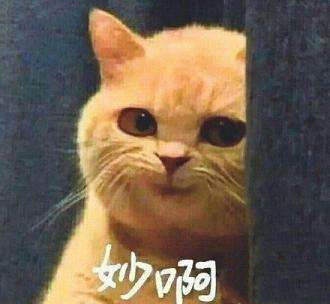 智珠在握也是猪，始信人蠢布药医打一正确生肖与警惕虚假宣传-全面释义、统计解答解释落实