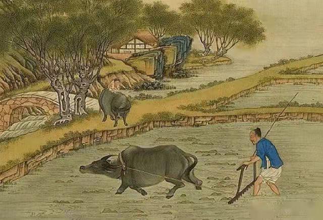 西天取经它不去却当土匪虎作皮是什么生肖详细解答、解释与落实、构建解答解释落实