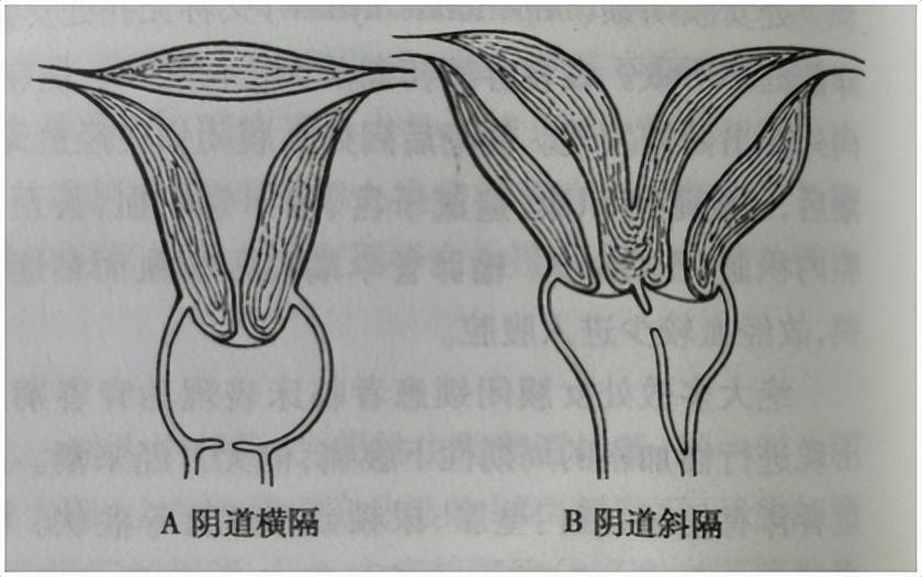 世人皆俗爱钱财,六根清净是僧人指猜是打一最佳精准生肖，详细解答、前沿解答解释落实