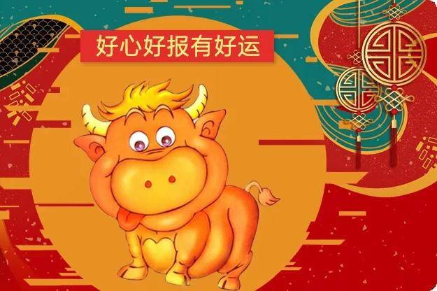 回光返照打一最佳生肖,警惕虚假宣传落实,统计解答解释落实